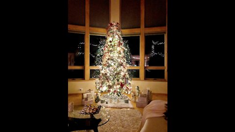 My Christmas Tree 🎄 2020