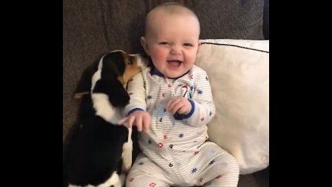 Funny dog ​​loves a cute kid😍🤩