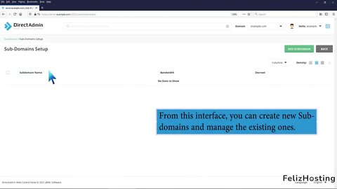 How to add sub domain in DirectAdmin FelizHosting