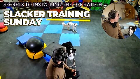 Slacker Training Sunday: Jamming, Collecting, and Multitasking | Episode #111 🛋️🥏🐶🥋