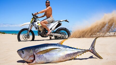 Giant Tuna (CATCH and COOK) - A Motobike Fishing Mission