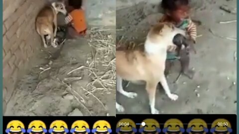 Cute Puppies and Babies Playing Together Compilation 2022