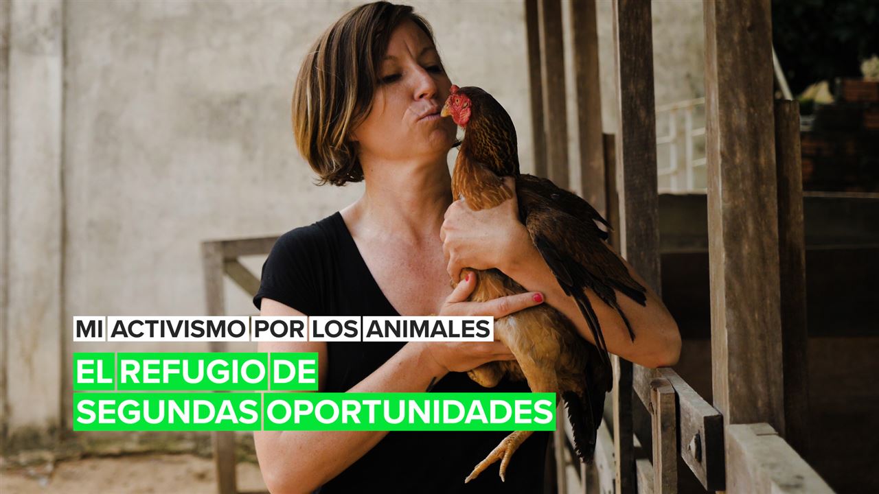 Mi activismo por los animales: El refugio de las segundas oportunidades