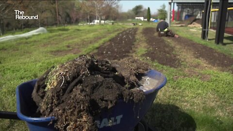 The Rebound: Urban farming