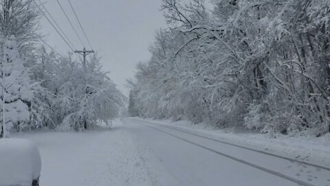 SNOW DAY (The day after the Blizzard)