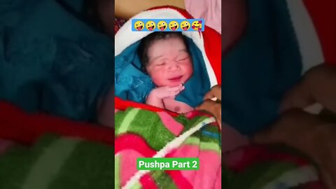 pushpa raj jhukega nahi||viral video compilation||Baby pushpa raj||pushpa songs||GigoX#Shorts#