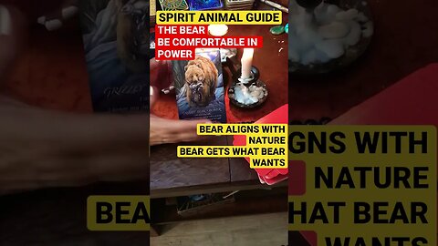 #animalspiritguides #spiritguidemessage #shorts#spiritualawakening ANIMAL SPIRIT GUIDE🐻BEAR POWER