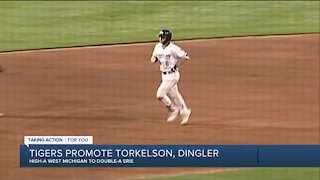 Tigers promote Torkelson, Dingler to Double-A Erie