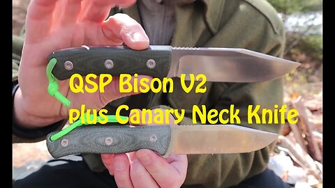 QSP Bison V2 plus Canary Neck Knife