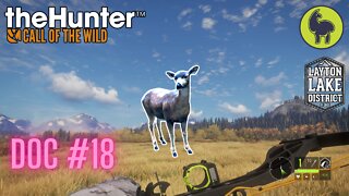 The Hunter: Call of the Wild, Doc #18 Layton Lakes (PS5 4K)