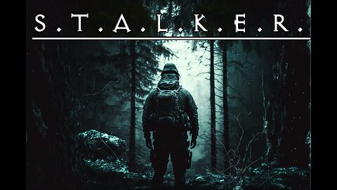 Stalker - Anomaly - GAMMA - Being a brave soldier