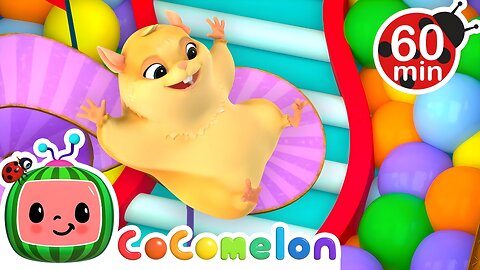 Hamster vs Maze 🐹 Hamster's Great Escape! 🐹 + MORE CoComelon Nursery Rhymes & Kids Songs