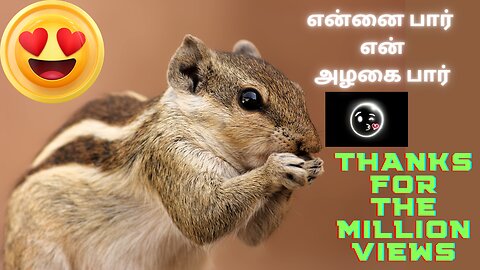 Funny Squirrel VoiceOver in Tamil