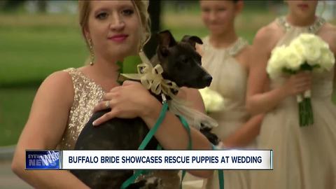 Bridal party pups