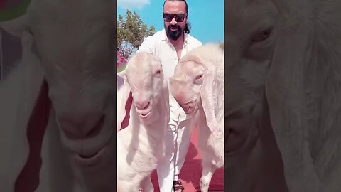 Ajaz Khan celebrates Bakrid 2023...Eid Al-Adha🌹🌹🌹#bollywood #funny #festival