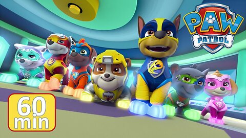 Sea Patrol Pups save the stolen Sea Patroller and more! - PAW Patrol Episode - Cartoons for Kids