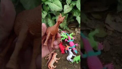 Kambing Singa Sapi Kadal dinosaurus #shorts #mainananak #viral