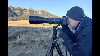 Sunrise Photography Tips At Trout Lake In Yellowstone National Park