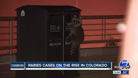 Rabies cases on the rise in Colorado