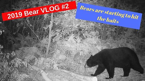 2019 Bear Hunting VLOG #2