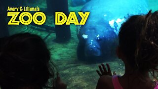 Avery & Liliana's Zoo Day