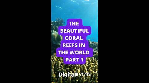 Part 1: The Beautiful Coral Reefs in the World