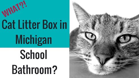 Michigan Living - Cat Litter Box in Public School