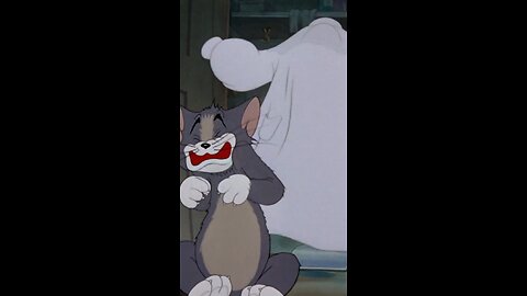 Tom And Jerry Fun..