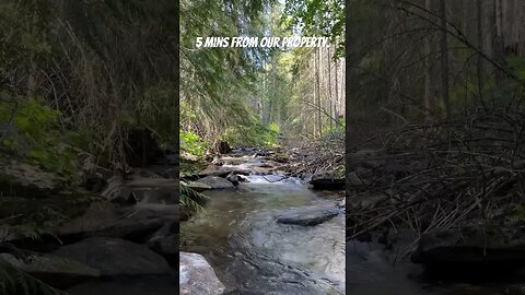 #creek #wildernesslife #familyhike #montana #hikemore #outdoorfamily #familyadventure