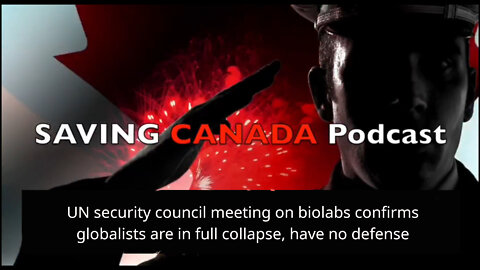 SCP54 - UN security council meeting shows globalists are exposed, losing support and collapsing