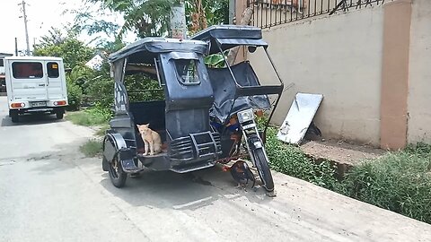 🇵🇭 Authentic Trike Ride Experience Through San Carlos, Binangonan, Rizal - Pure Filipino ASMR