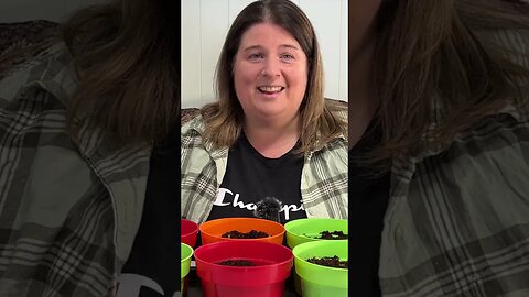 Dollar Store Grow Kit | Update #shorts