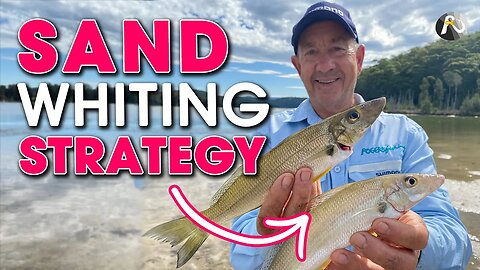 My Sand Whiting Strategy + WHOPPER By-Catch: Estuary Fishing 😲🐟🐟🐟