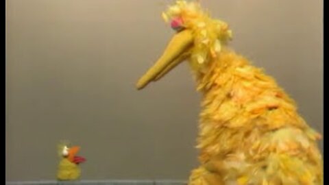 Classic Sesame Street - Original big Bird and a little bird