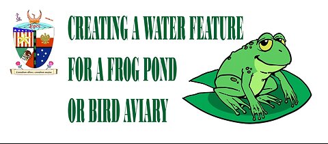 Creating A Water Feature For A Frog Pond Or Bird Aviary