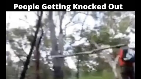 People Getting Knocked Out Compilation