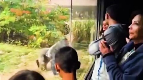 40 Times Animals Messed With The Wrong Opponent !-2