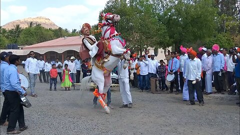 heera hors satararoad | Maharashtra