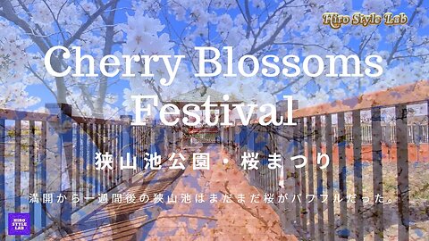 【Cherry Blossoms Festival】大阪狭山市・狭山池公園・桜まつりに甥っ子と行ってきた。＃狭山池公園桜まつり、＃満開から1週間の桜、＃CherryBlossoms