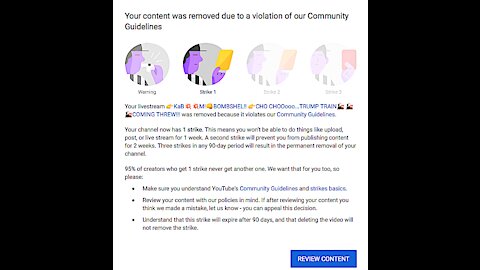 Your Content was Removed due to a Violation of our Youtube Community Guidelines!