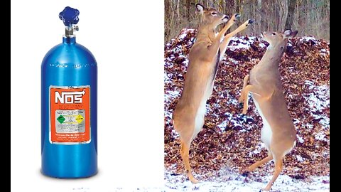 My deer are getting high on NOS, Nitrous Oxide!!!