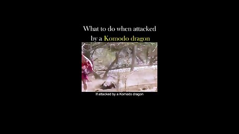 What to do when attacked by a komododragon