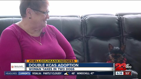 Hello humankindness: Double KCAS adoption