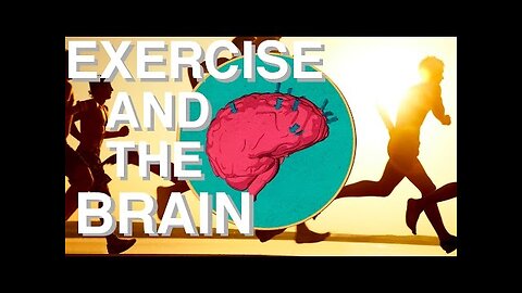 WHY Exercise is so Underrated (Brain Power & Movement Link)