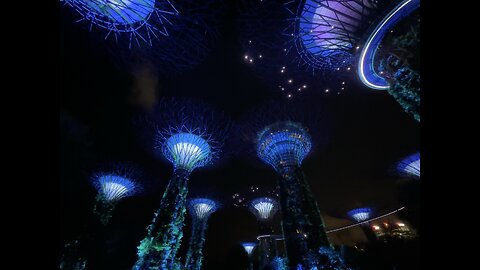 Garden by the bay