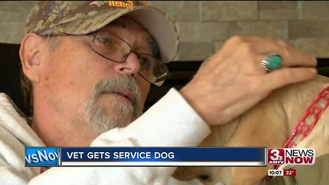 Vietnam Veteran gets service dog