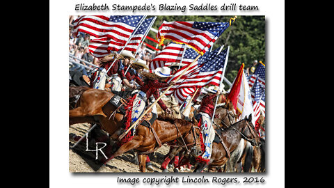 Award Winning Elizabeth Stampede Rodeo - Years 2003-2021