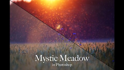 Mystic Meadow 🦋| A Photoshop Composite