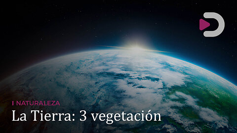 Naturaleza | La Tierra: 3 vegetación