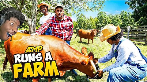 AMP RUNS A FARM REACTION! WHO’S THE BEST FARMER?